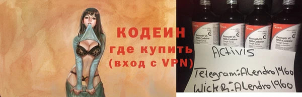 гашик Алзамай