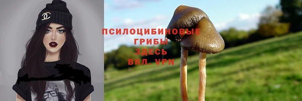 стафф Абинск