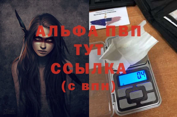 ешки Алексин