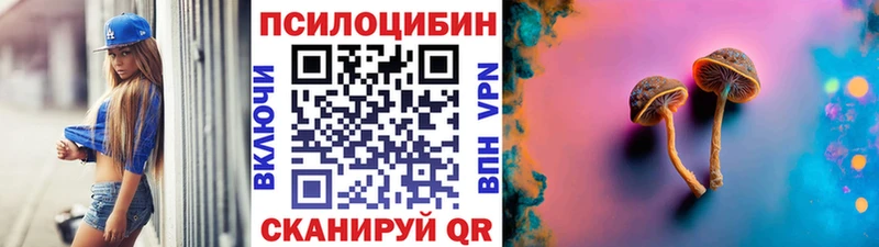 кракен ТОР  Иннополис  Псилоцибиновые грибы Psilocybine cubensis  даркнет сайт 